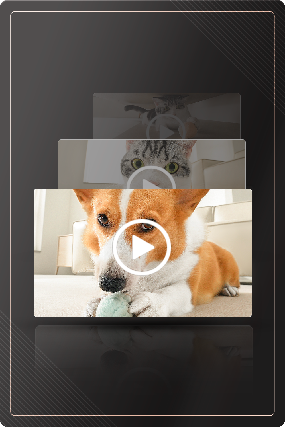 ROLA Mini pet monitor cloud+ subscription 2