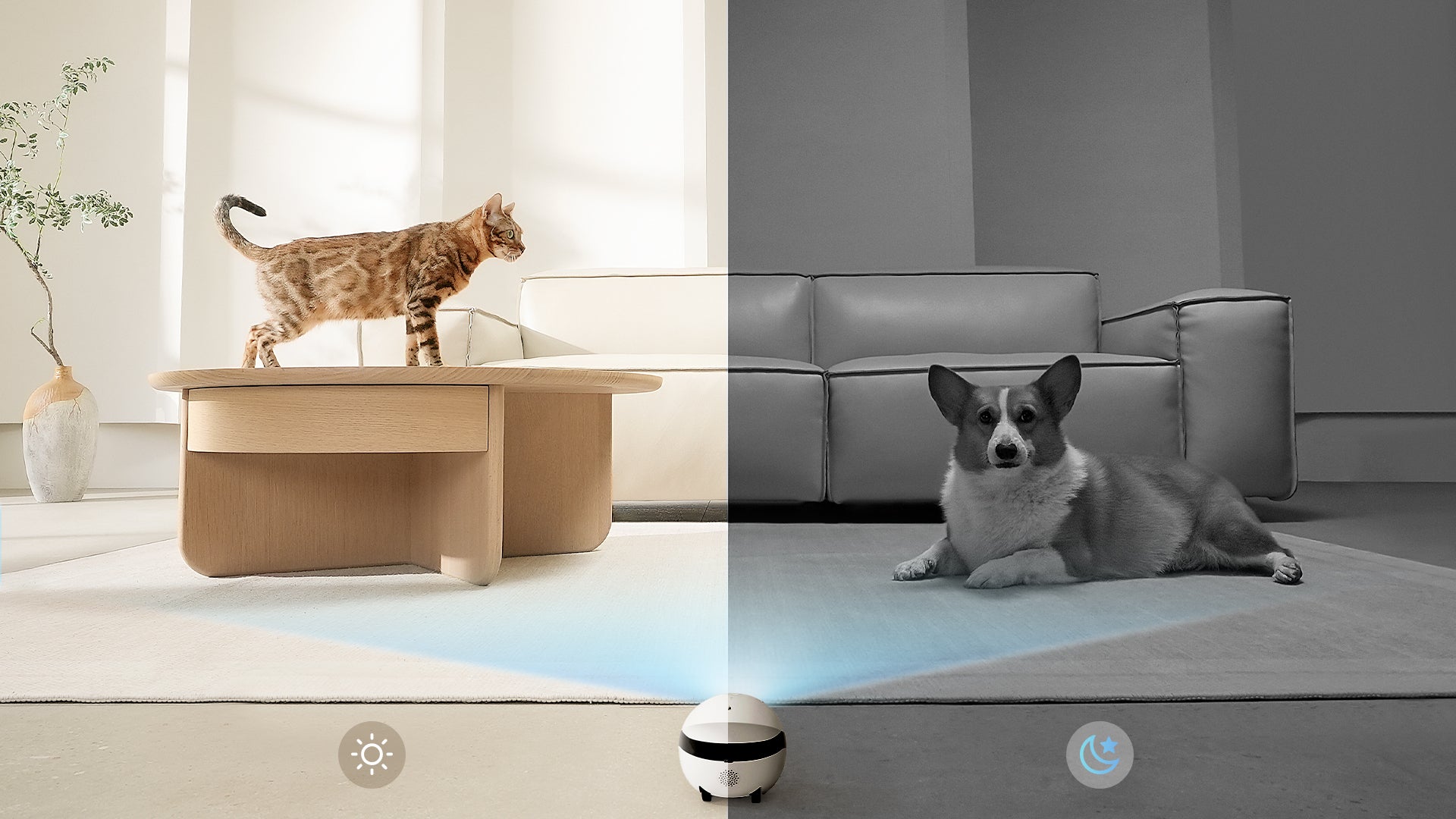 EBO Air 2: Remote Operation When You're Away From Home