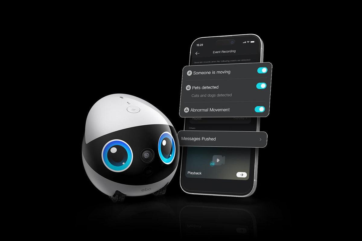 Today’s Home Robots
