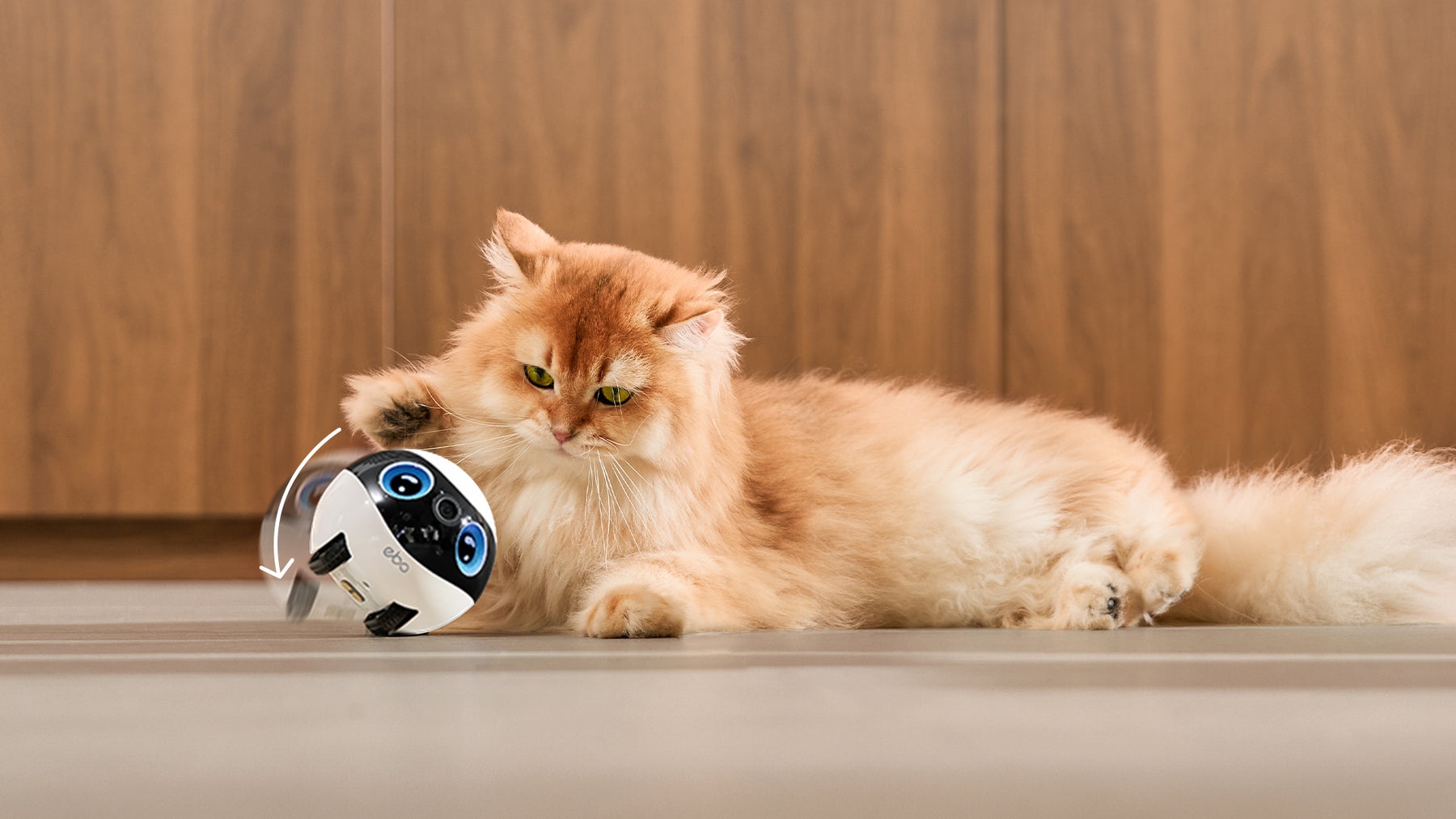Remote Pet interaction, Never the same