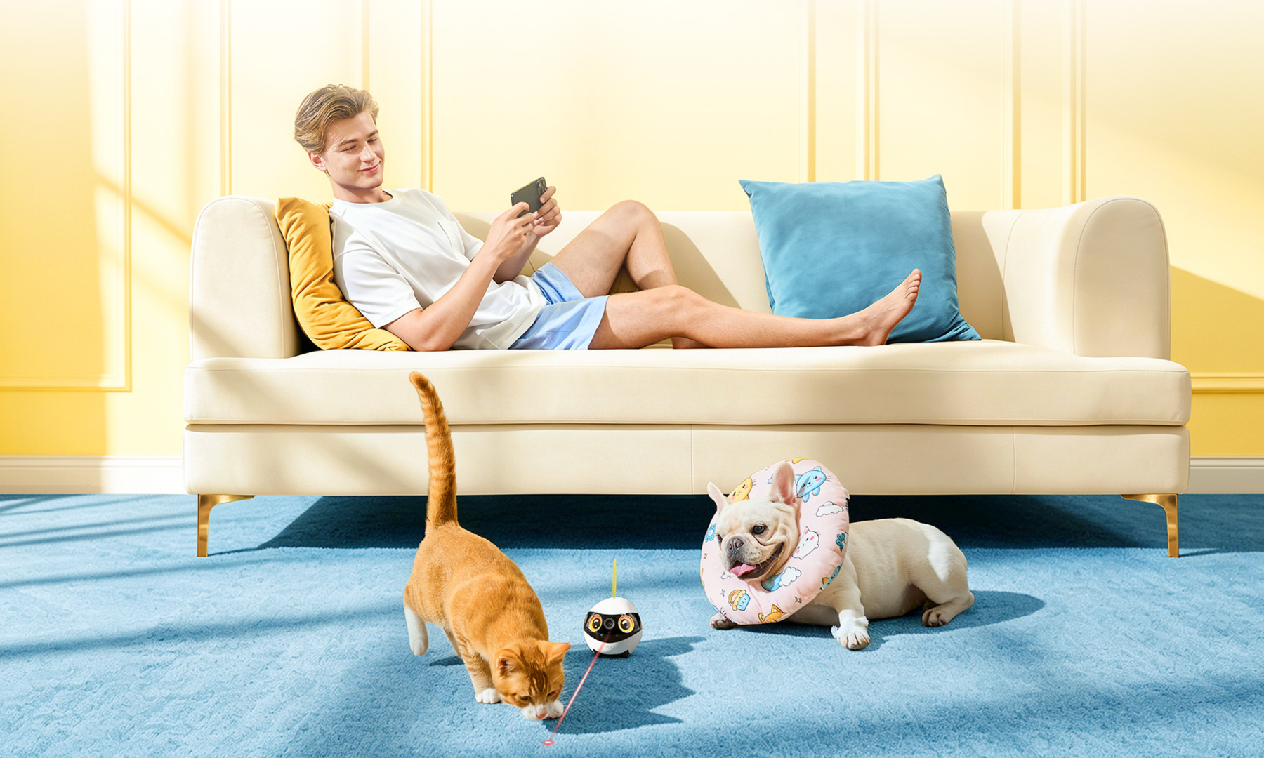Remote pet play