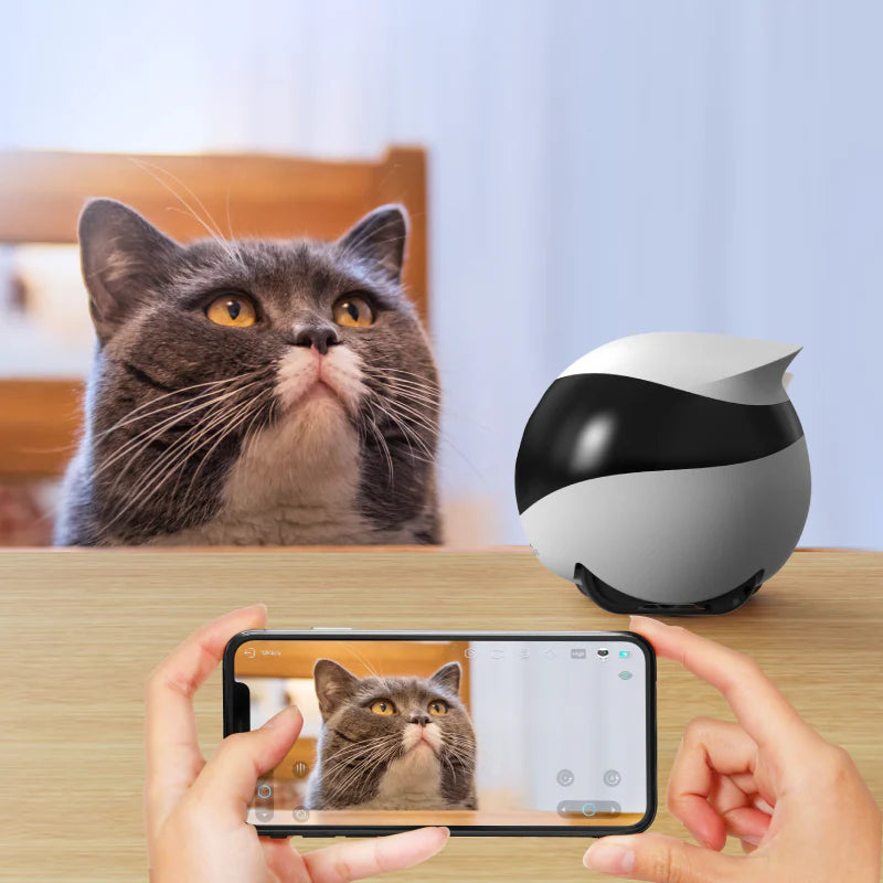ENABOT EBO SE Wireless Camera Robot