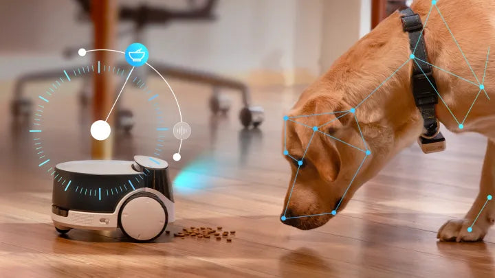 AI Pet Recognition For Automatic Scheduled Feeding