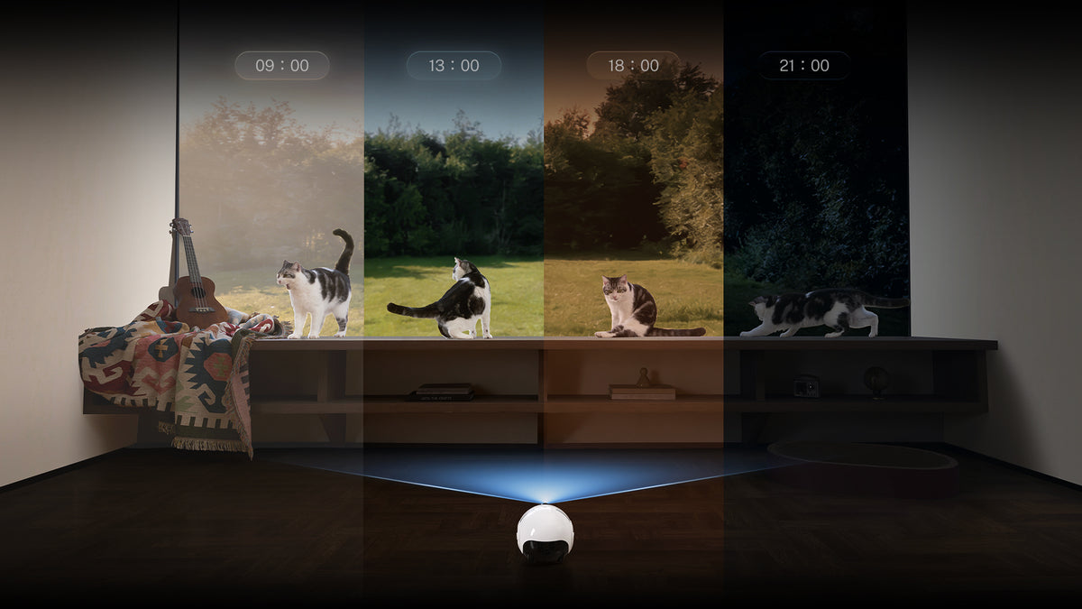 Time-Lapse
