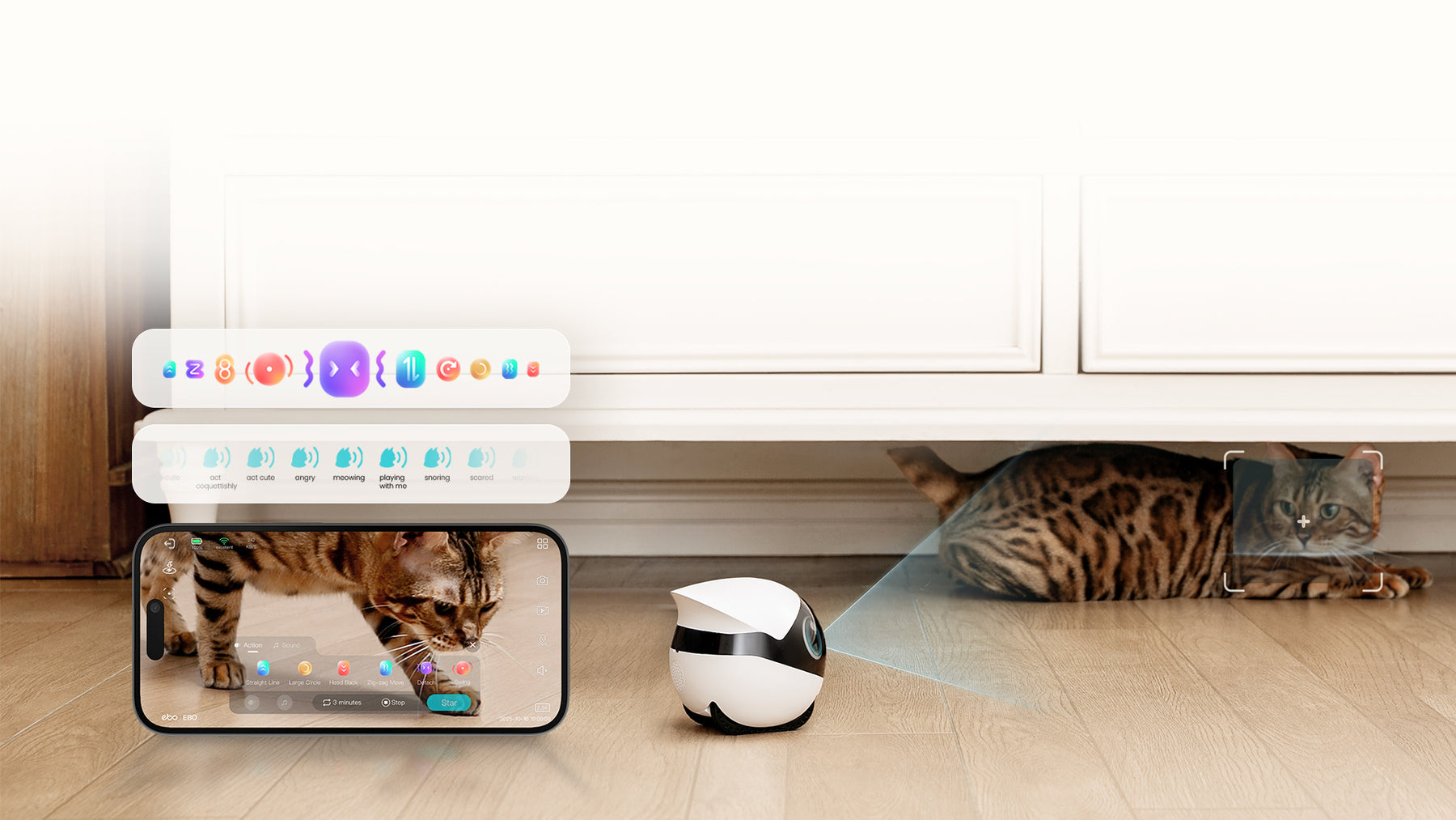 Pet Care
