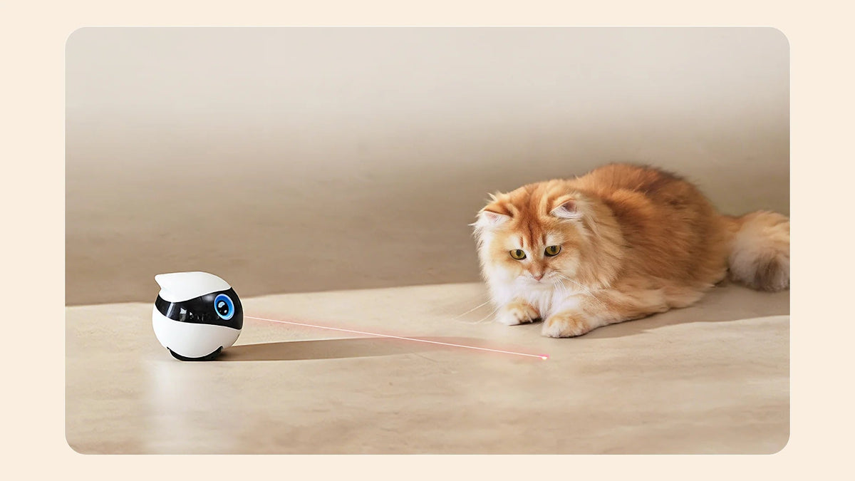 Laser Interaction