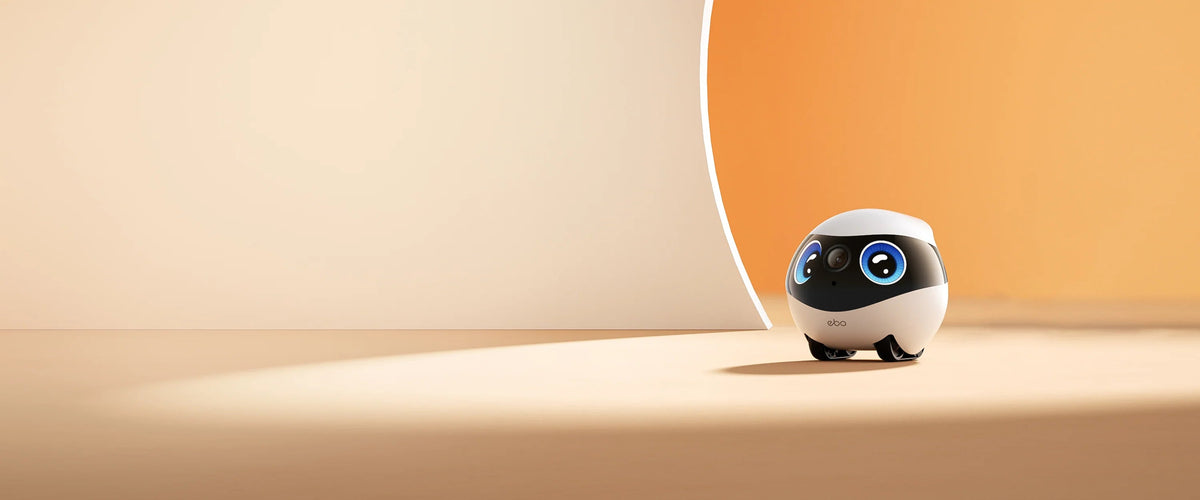 EBO Mini FamilyBot