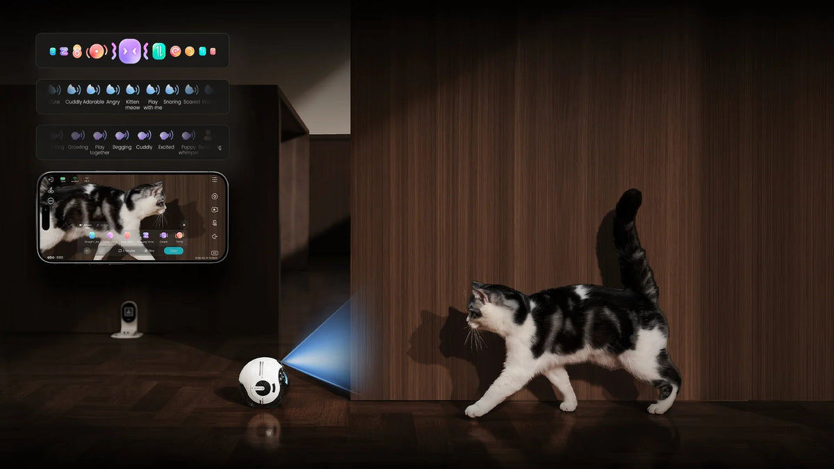 Remote Pet Fun, AI Captures & Plays