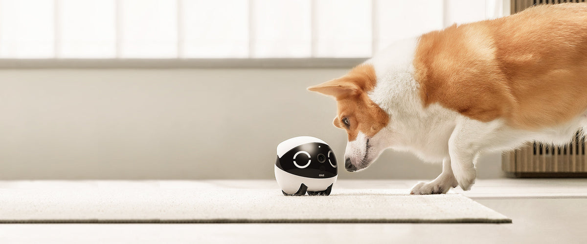 ROLA Mini Pet Monitor