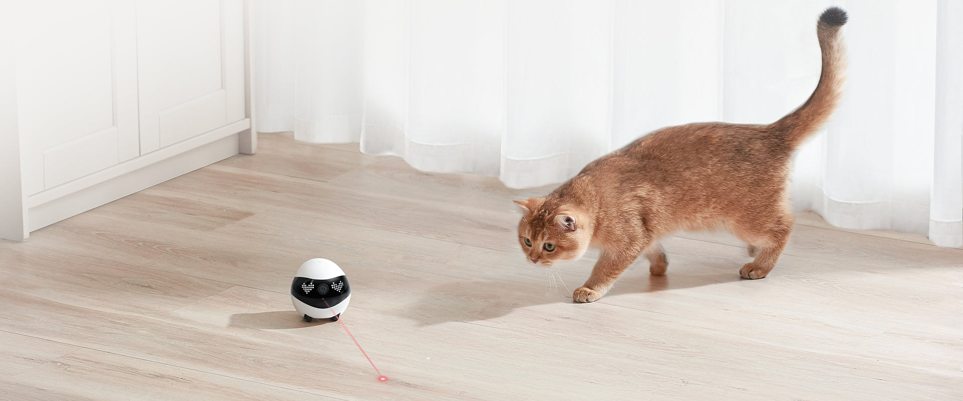 EBO Air 2  companion robot: Laser Pet Teasing