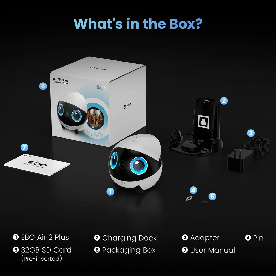 What's In The Box