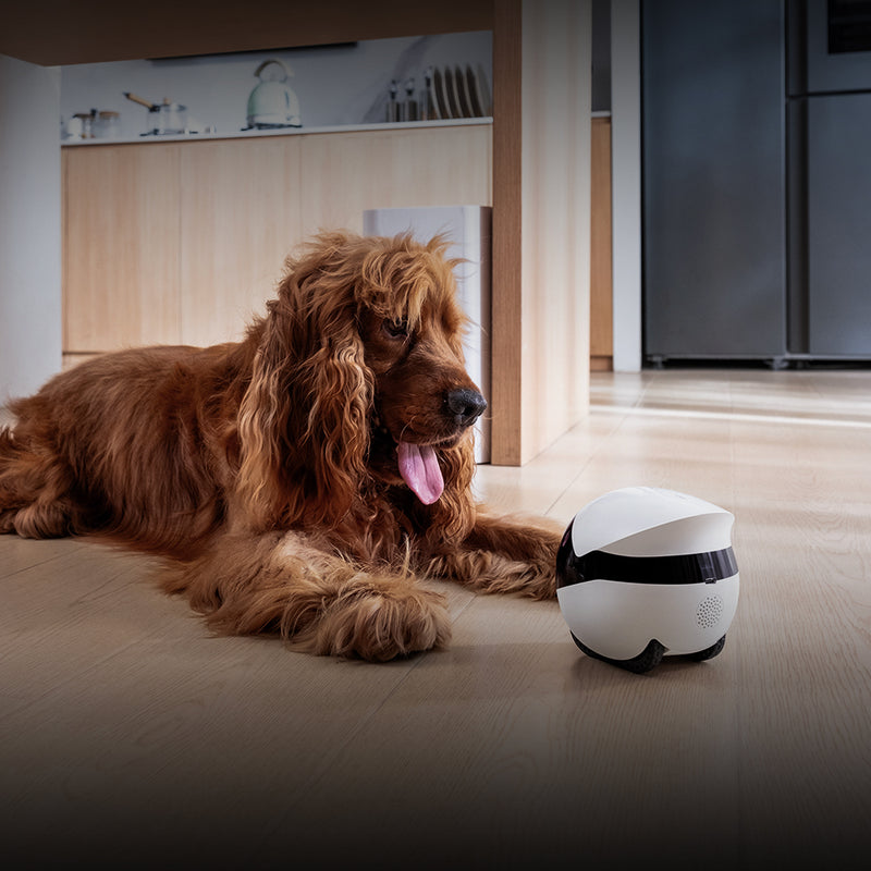 Smart-Remote Pet Care