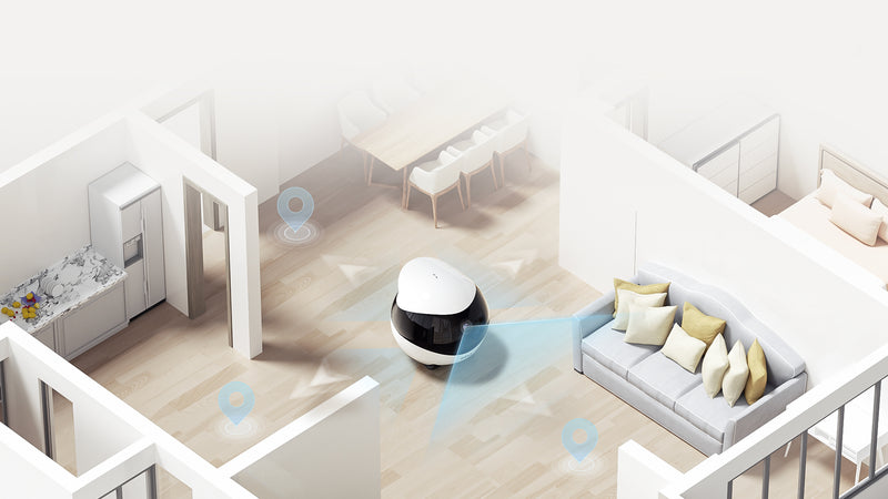 Mobile Home Monitoring