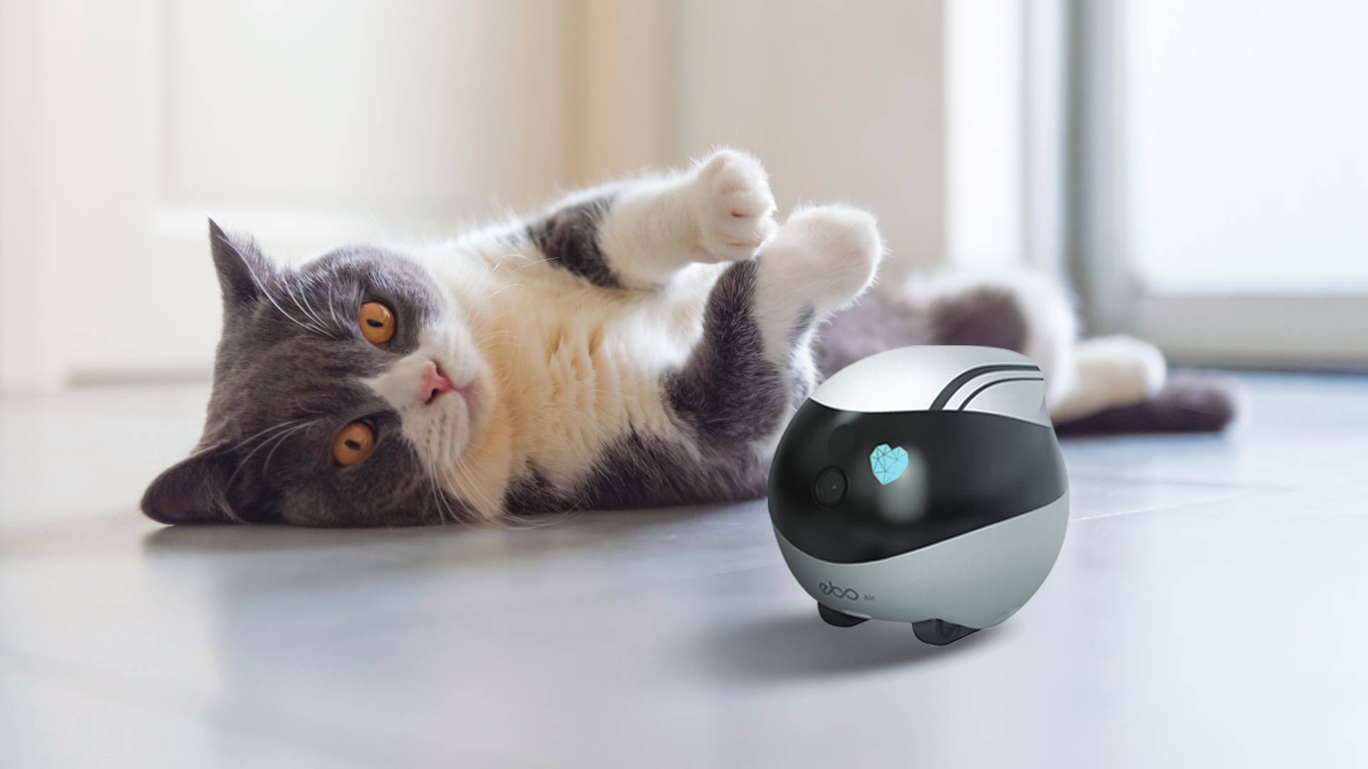 EBO Air moving pet camera