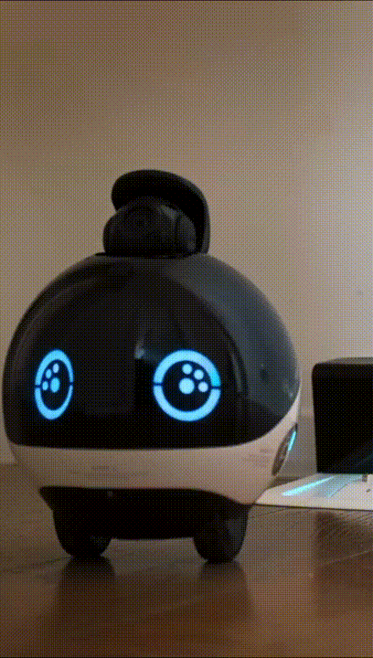 EBO X, smart guardian robot for your family