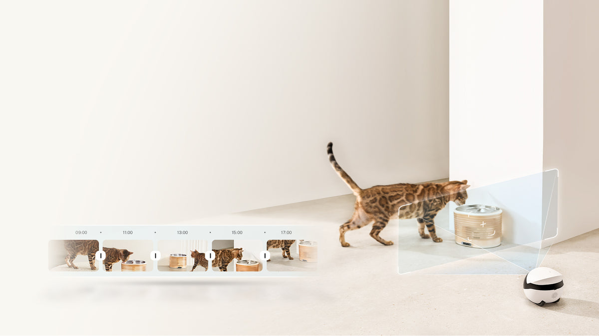 Capture Your Pet’s Drinking Movements in Real-Time