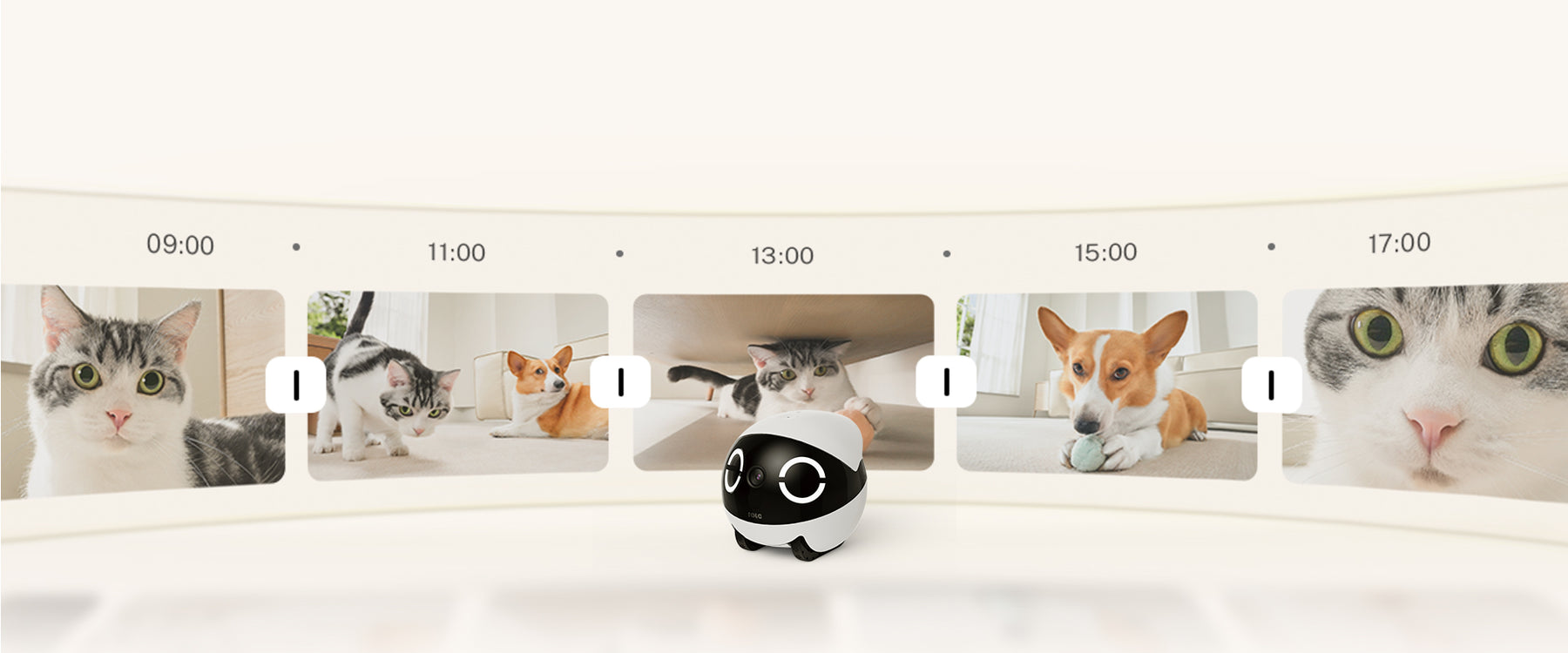 Capture Adorable Pet Moments