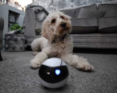 Digital Camera World: Enabot EBO Air is An adorable robot pet camera