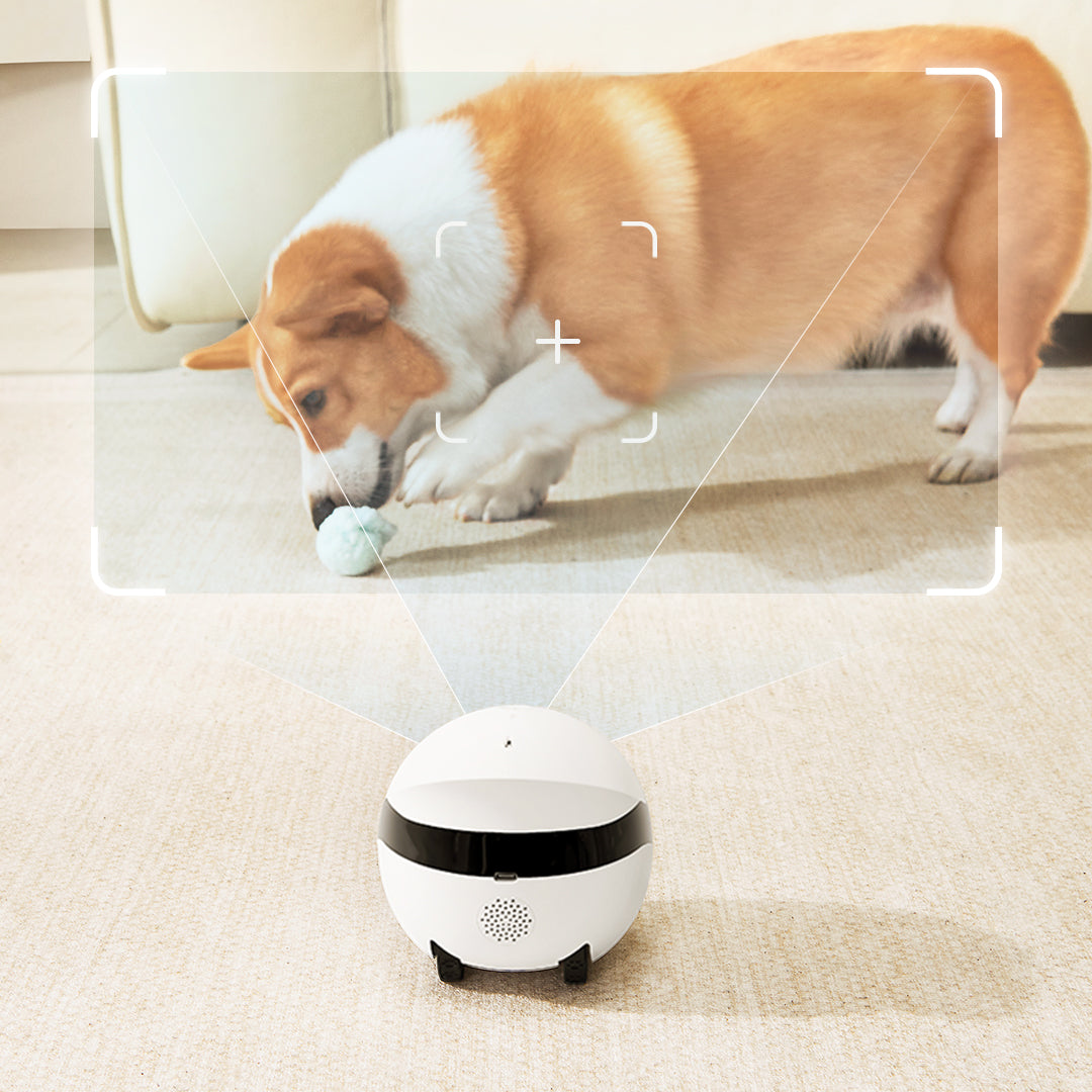 Motion Detection Recording