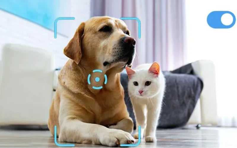 The Perfect Pet Companion