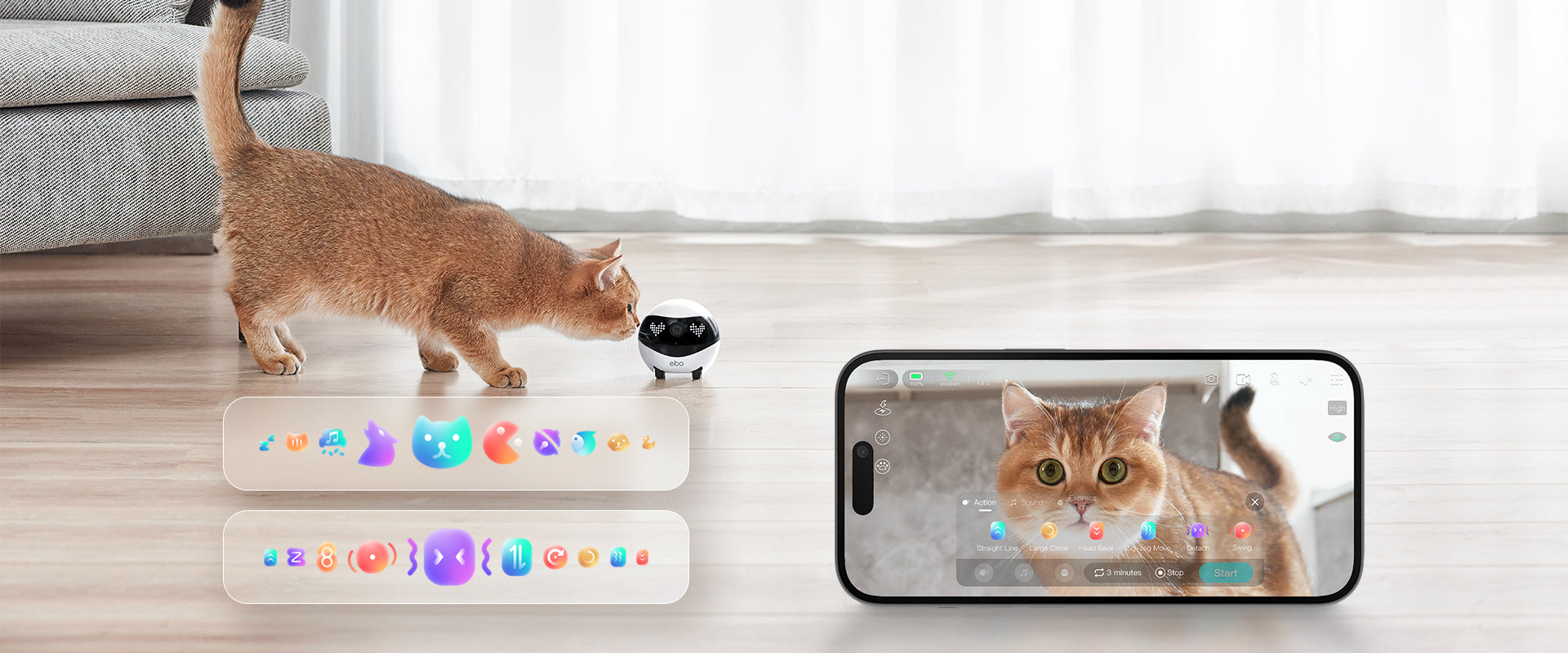 Pet-Play Movements