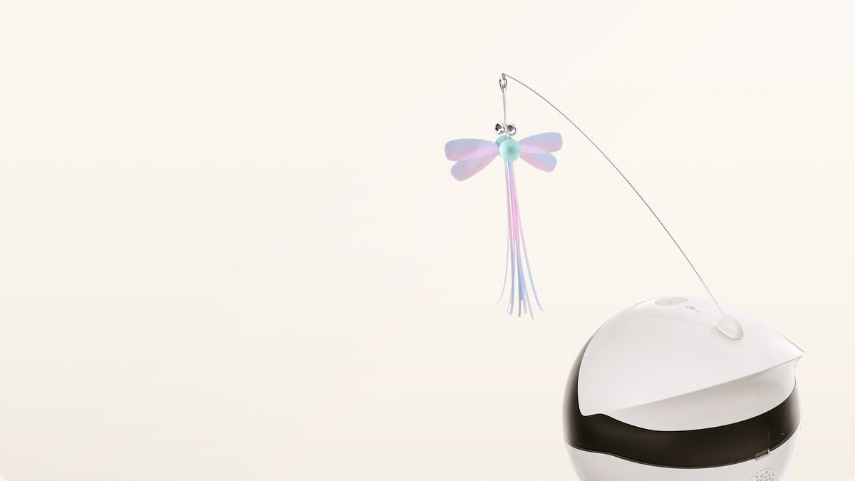 Expandable Fun Accessories