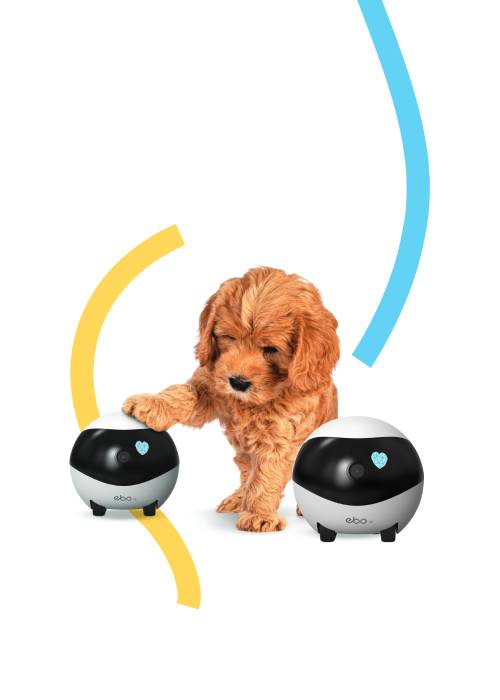 EBO SE 24-Hour home security camera with remote control